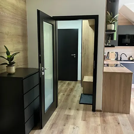 Apartment Apartman Vrbno Pod Pradedem