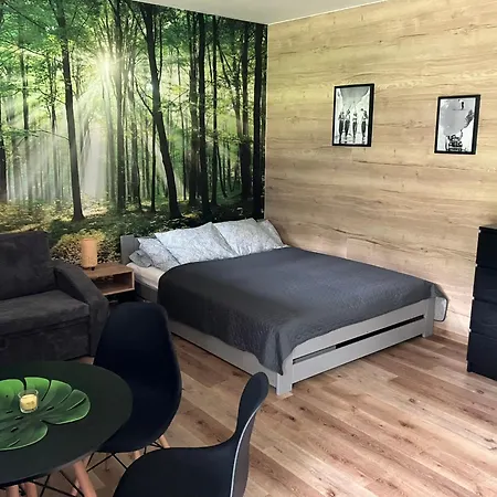 Apartment Apartman Vrbno Pod Pradedem Vrbno pod Pradedem