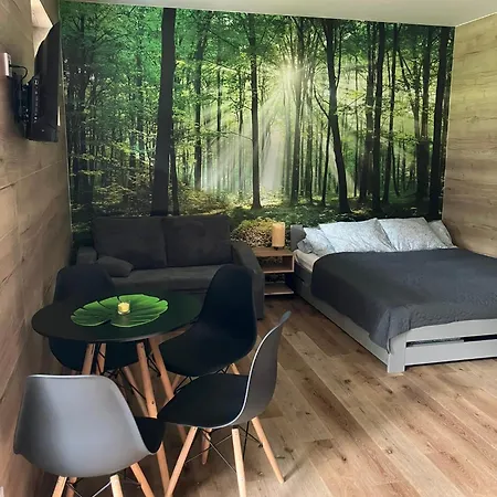 Apartmán Apartmán Vrbno pod Pradědem Vrbno pod Pradědem