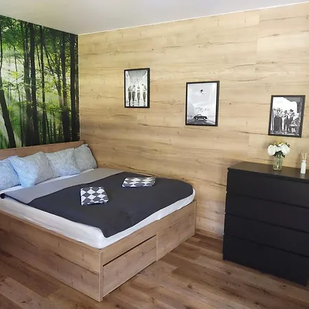 Apartmán Apartmán Vrbno pod Pradědem *
