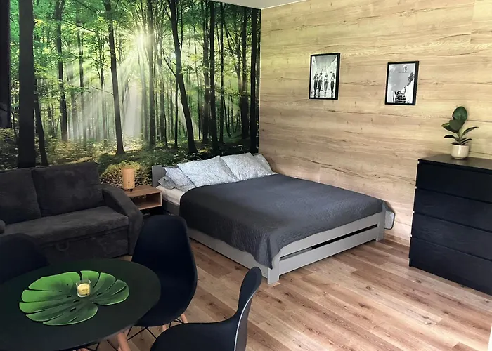 Appartamento Apartmán Vrbno pod Pradědem Vrbno pod Pradědem